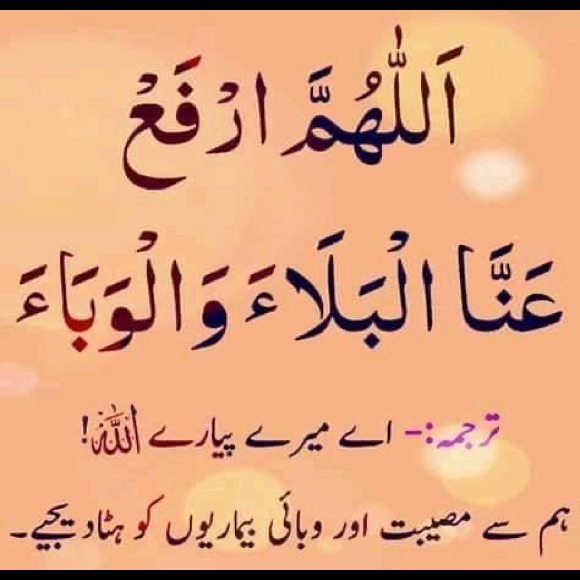 sabasaleem957